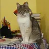 Отзыв от Мария Лобанова
